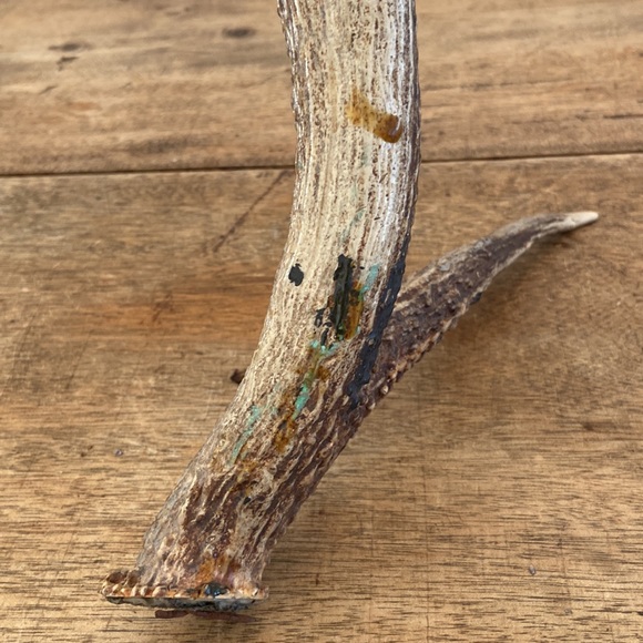 Decorative Antler - Picture 12 of 13
